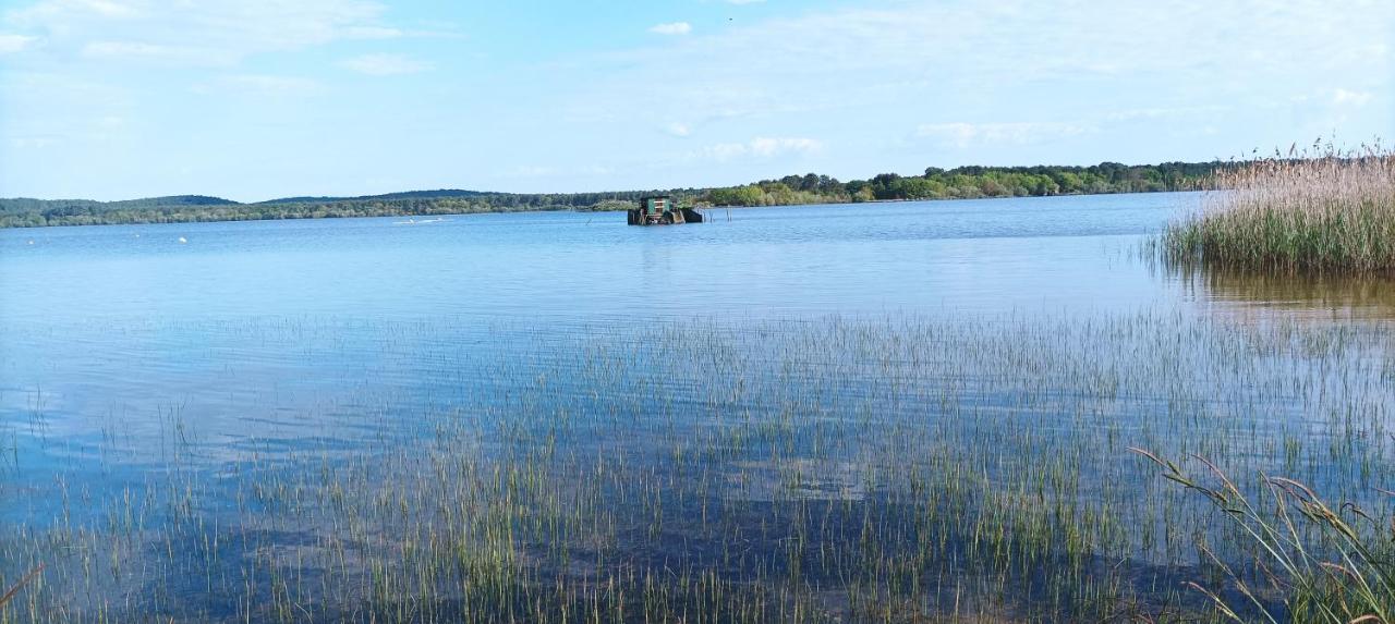 Les Terrasses Du Lac Piscine Et Vue Lac A4 Aureilhan  Exterior foto